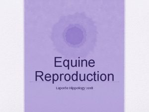 Equine Reproduction Laporte Hippology 2018 ANATOMY TO KNOW