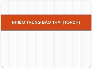 NHIM TRNG BO THAI TORCH TORCH L G