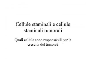 Cellule staminali e cellule staminali tumorali Quali cellule