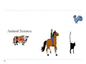 Animal Science Careers in Animal Science Most entrylevel