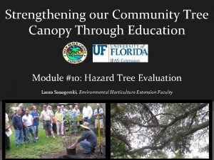 Strengthening our Community Tree Canopy Through Education Module