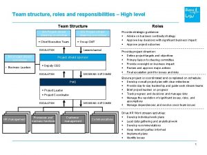 Team structure roles and responsibilities High level Team
