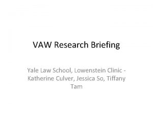 VAW Research Briefing Yale Law School Lowenstein Clinic