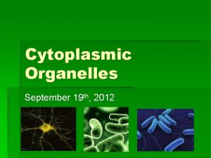 Cytoplasmic Organelles September 19 th 2012 What are