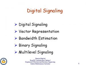 Digital Signaling Vector Representation Bandwidth Estimation Binary Signaling