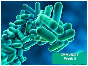 IMMUNITY Week 3 Immunity Human body constantly threatened