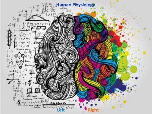 Human Physiology Left Right Etymology word origin derivation