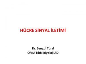 HCRE SNYAL LETM Dr Sengul Tural OMU Tbbi