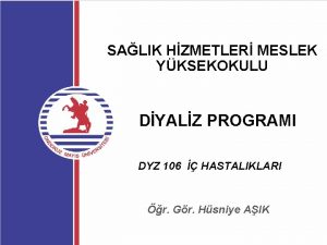 SALIK HZMETLER MESLEK YKSEKOKULU DYALZ PROGRAMI DYZ 106