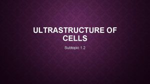 ULTRASTRUCTURE OF CELLS Subtopic 1 2 THE BIG
