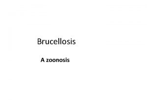 Brucellosis A zoonosis Brucellae Differential test for Brucella