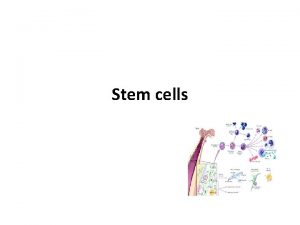 Stem cells Definition Cells that can divide to