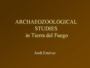 ARCHAEOZOOLOGICAL STUDIES in Tierra del Fuego Jordi Estvez