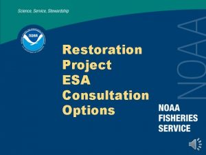 Restoration Project ESA Consultation Options Restoration Project ESA
