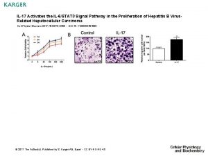 IL17 Activates the IL6STAT 3 Signal Pathway in