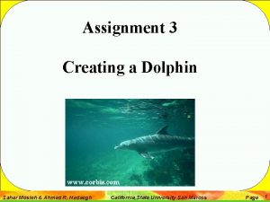 Assignment 3 Creating a Dolphin Sahar Mosleh Ahmad