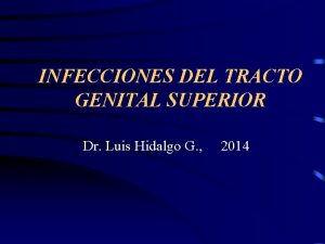 INFECCIONES DEL TRACTO GENITAL SUPERIOR Dr Luis Hidalgo