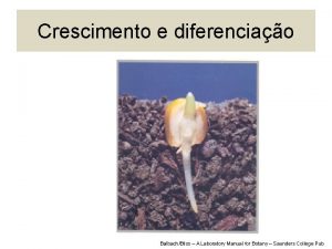 Crescimento e diferenciao BalbachBliss A Laboratory Manual for