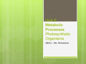 Unit 2 Metabolic Processes Photosynthetic Organisms SBI 4