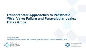 Transcatheter Approaches to Prosthetic Mitral Valve Failure and