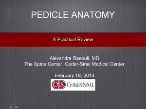 PEDICLE ANATOMY A Practical Review Alexandre Rasouli MD