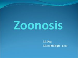 Zoonosis M Paz Microbiologa 2010 LISTERIOSIS Listeria monocytogenes