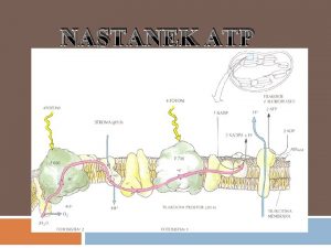 NASTANEK ATP ATP je energijsko bogata spojina v