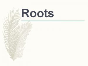 Roots Objectives 1 List three benefits of roots