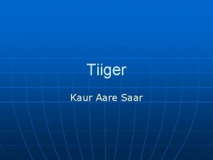 Tiiger Kaur Aare Saar Vlimus Tiiger on sihvakas