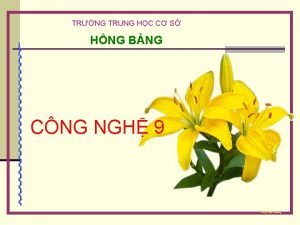 TRNG TRUNG HC C S HNG BNG CNG