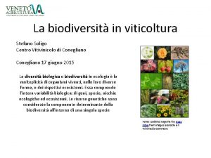 La biodiversit in viticoltura Stefano Soligo Centro Vitivinicolo