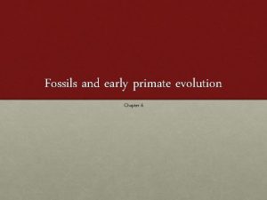 Fossils and early primate evolution Chapter 6 introduction