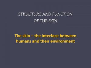 STRUCTURE AND FUNCTION OF THE SKIN The skin