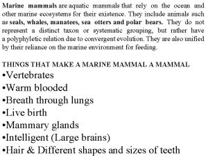 Marine mammals are aquatic mammals that rely on