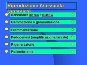 Riproduzione Asessuata Agamica Scissione Binaria e Multipla Gemmazione