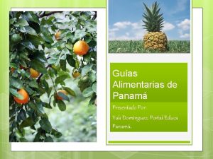 Guas Alimentarias de Panam Presentado Por Yuli Domnguez