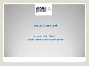 BULU RNEKLER M Kaan DERCOLU Ankara Patent Brosu