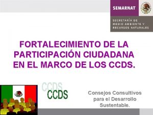 FORTALECIMIENTO DE LA PARTICIPACIN CIUDADANA EN EL MARCO