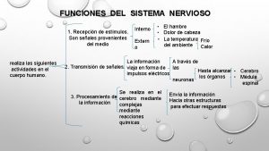 FUNCIONES DEL SISTEMA NERVIOSO 1 Recepcin de estmulos