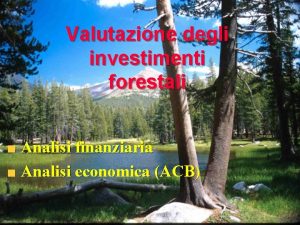 Valutazione degli investimenti forestali Analisi finanziaria Analisi economica