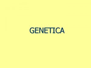 GENETICA GENETICA MENDELIANA Orientaciones selectividad 1 GENTICA MENDELIANA