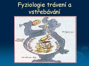 Fyziologie trven a vstebvn Funkce trvicho stroj GIT