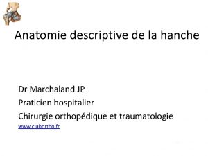 Anatomie descriptive de la hanche Dr Marchaland JP