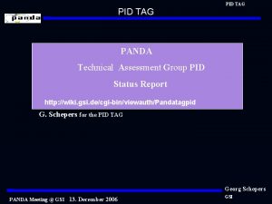 PID TAG PANDA Technical Assessment Group PID Status