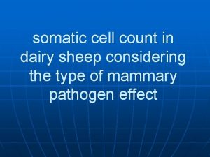 somatic cell count in dairy sheep considering the