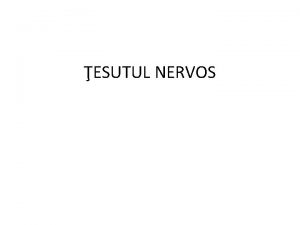 ESUTUL NERVOS TESUTUL NERVOS Tip fundamental de esut