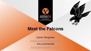 Meet the Falcons Ciprian Marginean ciprian margineanamsix net