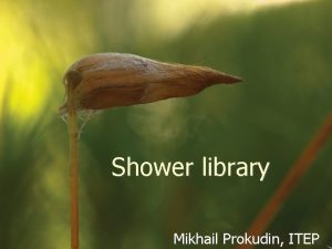 Shower library Mikhail Prokudin ITEP Outline Reconstruction Shower