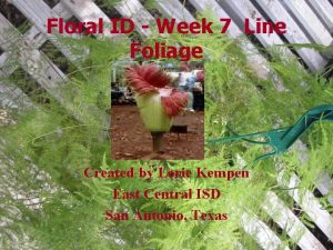 Floral ID Week 7 Line Foliage Created by