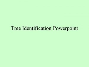 Tree Identification Powerpoint Forested The definition of forested